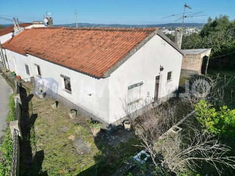 Dit halfvrijstaande huisje ligt in Tomar, op slechts 400 meter van het Convento de Cristo, dat op de werelderfgoedlijst van UNESCO staat. Het pand wordt geleverd met 1530m2 grond waarvan 530 m2 aan het pand is bevestigd en omheind is, het andere deel...