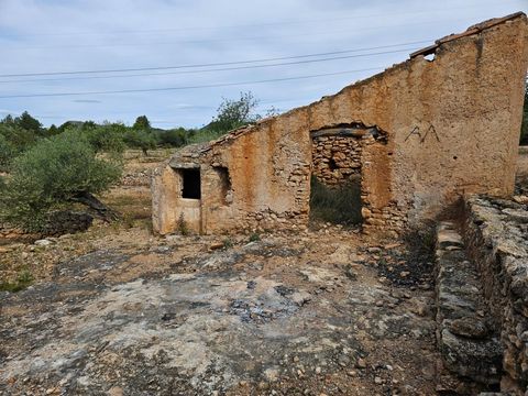 En el término municipal de El Perelló vendemos Finca Rústica de 11221 completamente plana plantada de olivos y algarrobos en producción Dispone de una caseta para rehabilitar apta para la construcción de un almacén agrícola de 50 m2 Situada en un ent...