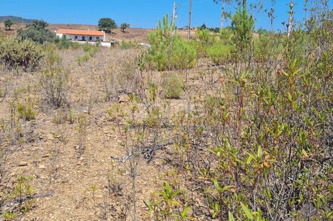 Identificação do imóvel: ZMPT569839 Fantástico Terreno Rústico com 38.380m2 c/Furo em Vale Grande, São Marcos da Serra 3 razões para comprar com a Zome + acompanhamento Com uma preparação e experiência única no mercado imobiliário, os consultores Zom...