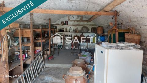 photo no. 11