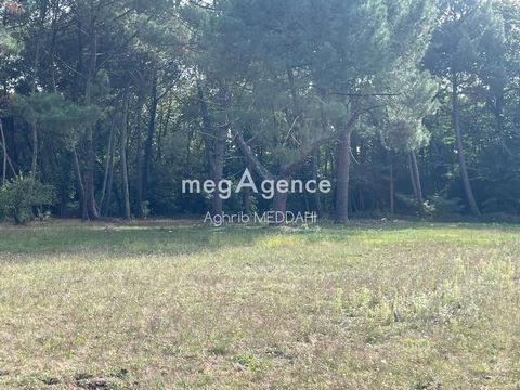 Terrain constructible Viabilisé de 548 m² à SAINT-AUBIN-DE-MEDOC