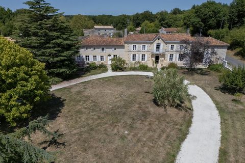 photo no. 11