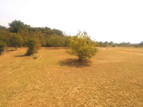 photo no. 1