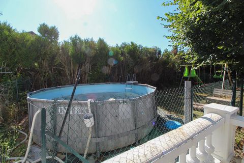 photo no. 15