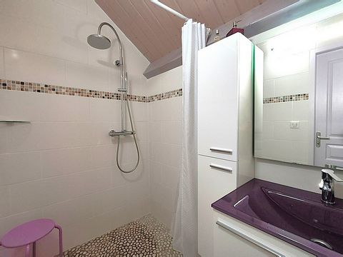 photo no. 12