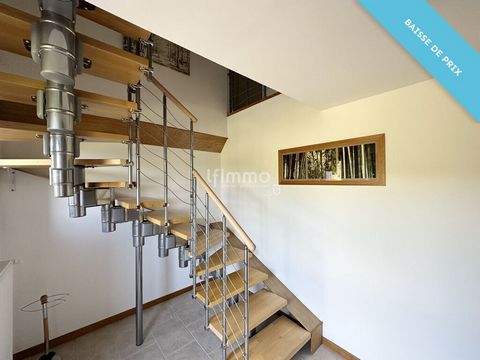 photo no. 13