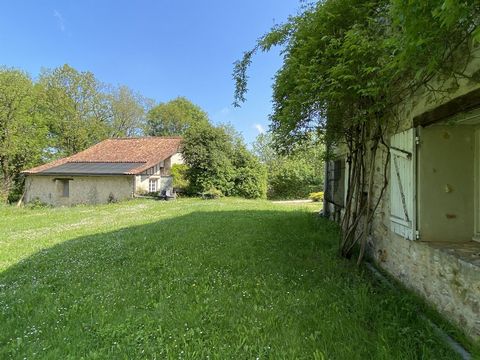 photo no. 17