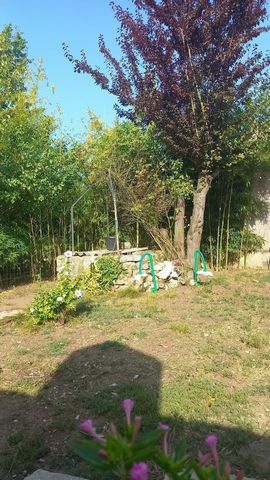 photo no. 11