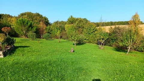 photo no. 23
