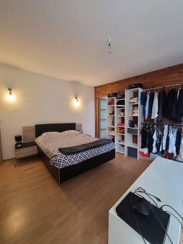 photo no. 18
