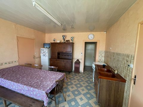 photo no. 6