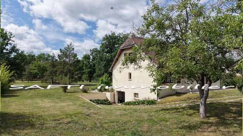 photo no. 2