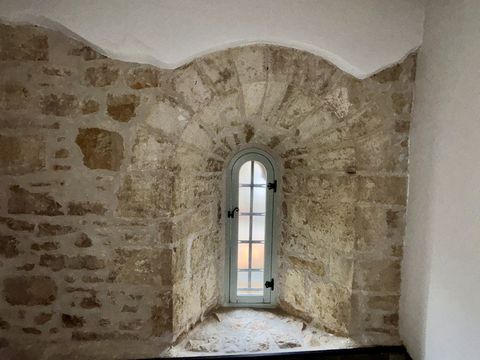 photo no. 12