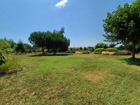 photo no. 13