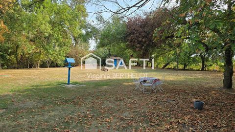 photo no. 11