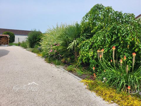 photo no. 12