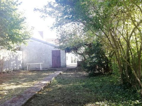 photo no. 6