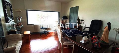 photo no. 11