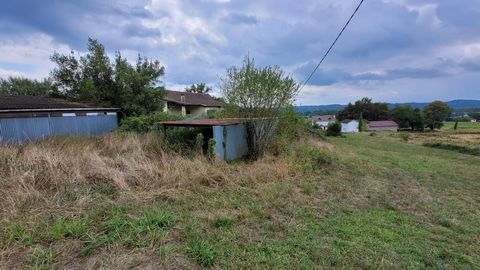 photo no. 16