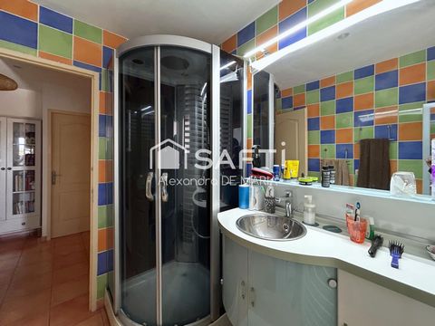 photo no. 12