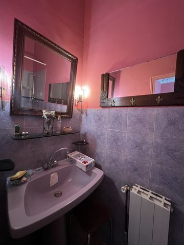 photo no. 6