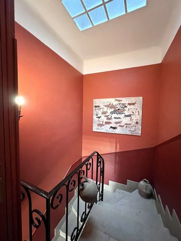 photo no. 12