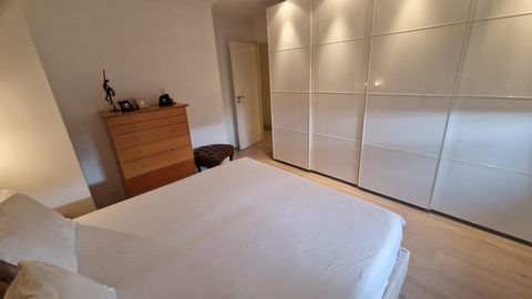 photo no. 11