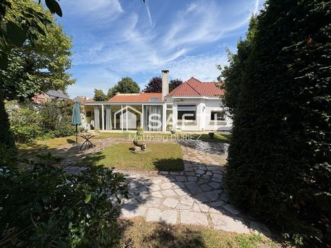 photo no. 2