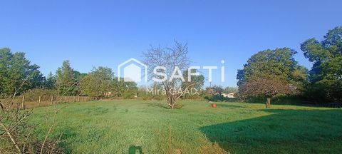 photo no. 2