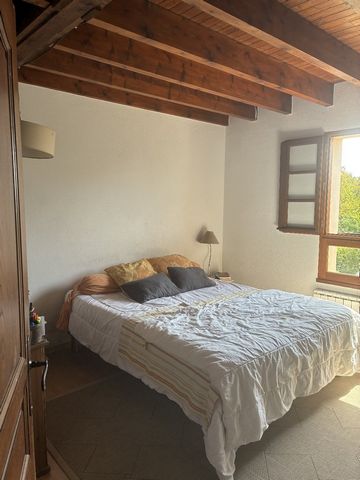 photo no. 11
