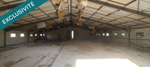 photo no. 14