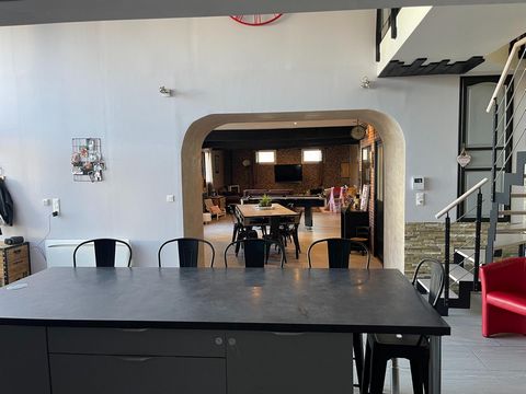 photo no. 11