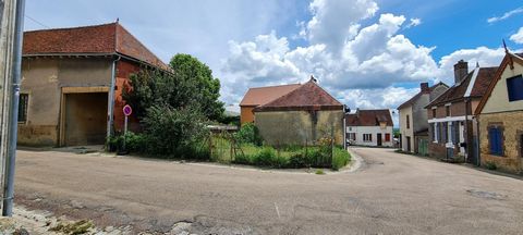 photo no. 2