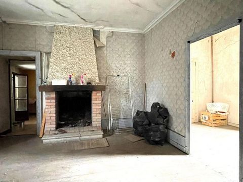 photo no. 7