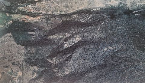 Terrain boisé  Causses Noir