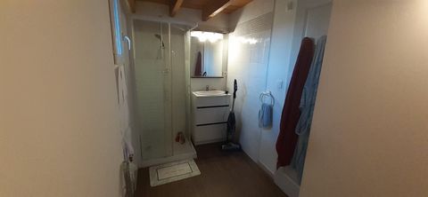 photo no. 12