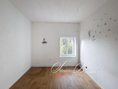 photo no. 8