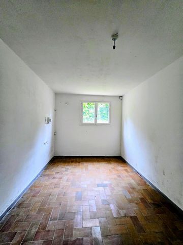 photo no. 9