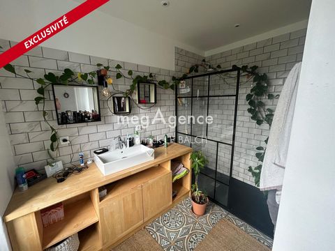 photo no. 9