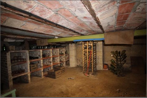 photo no. 15