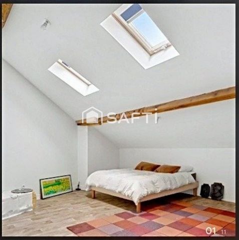 photo no. 9
