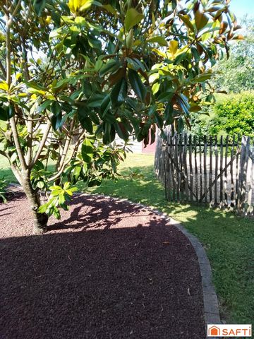 photo no. 16
