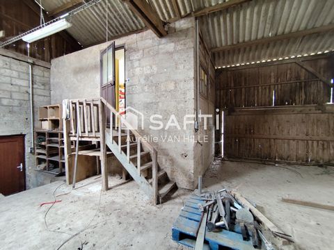 photo no. 5