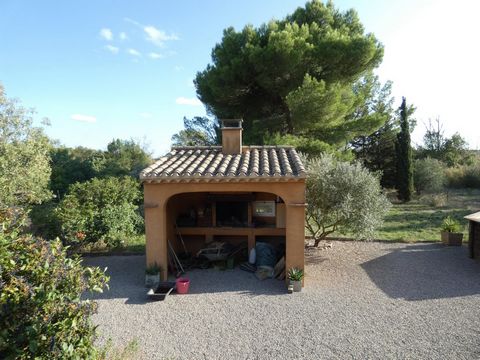 photo no. 2