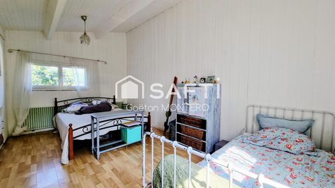 photo no. 14