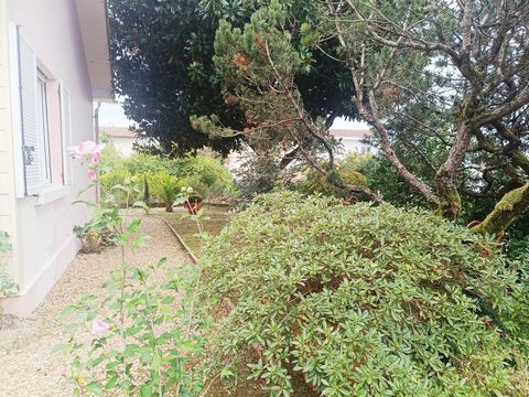 photo no. 16