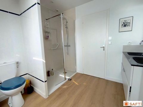 photo no. 11