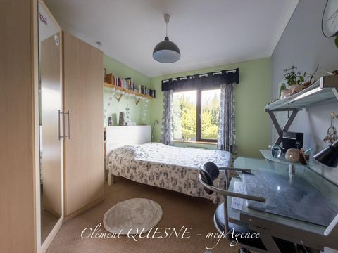 photo no. 13