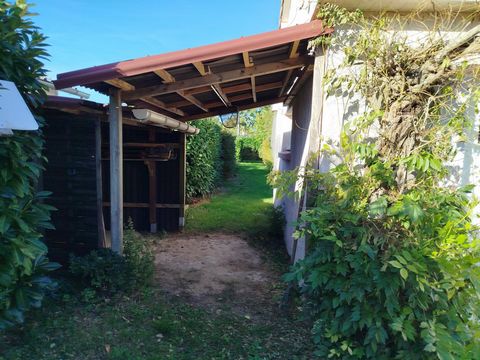 photo no. 3