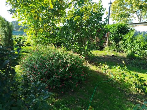 photo no. 13